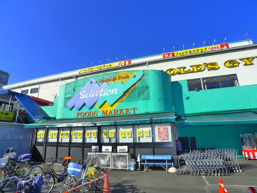 セレクション(スーパー)まで377m 行徳アベニューマンション