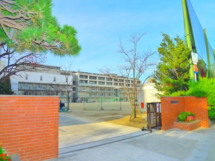 第七中学校(中学校/中等教育学校)まで1100m 行徳アベニューマンション