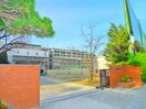 第七中学校(中学校/中等教育学校)まで1100m 行徳アベニューマンション