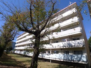 南大和住宅２号棟(501)