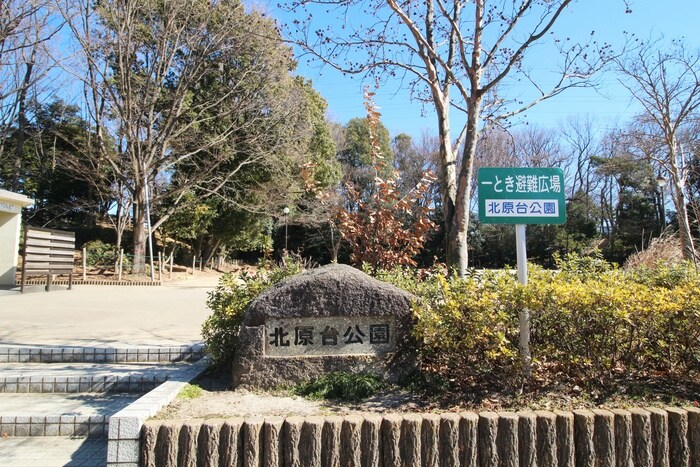 北原台公園(公園)まで570m ロ－タスハイツＣ