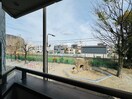 室内からの展望 杉浦貸家