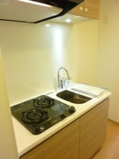 キッチン ﾊｰﾓﾆｰﾚｼﾞﾃﾞﾝｽ水天宮前(704)