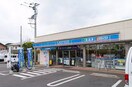 ローソン　小金井貫井北町5丁目店(コンビニ)まで198m カサパドレ武蔵小金井