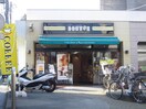 ドトールコーヒーショップ白楽店(カフェ)まで838m グリタァ六角橋