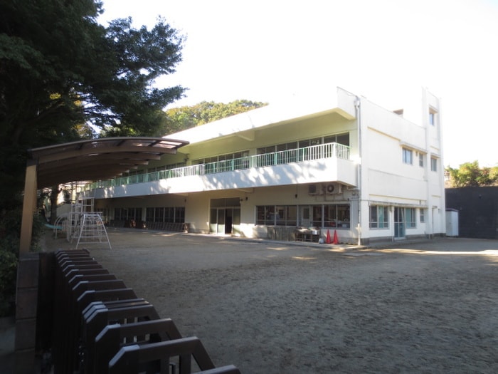 小机幼稚園(幼稚園/保育園)まで240m パナハイツ光