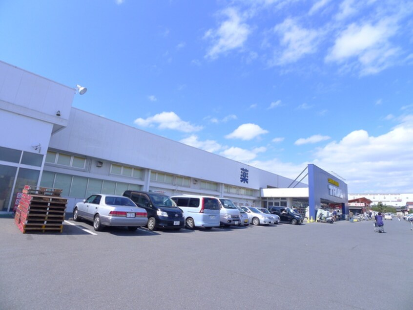 トライアル(ディスカウントショップ)まで2900m メゾンヒロ　Ｄ棟