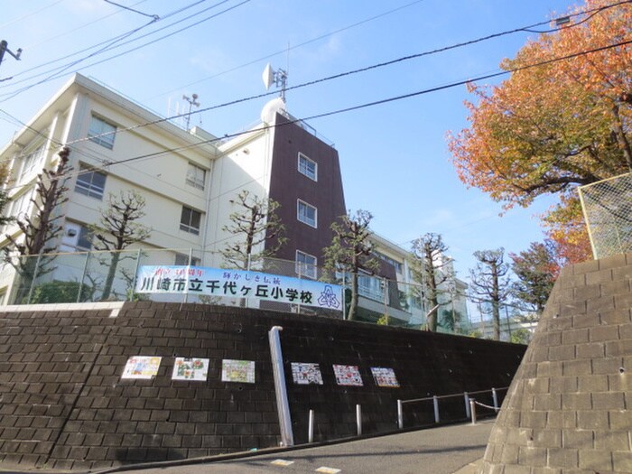 千代ヶ丘小学校(小学校)まで400m 石井テラスⅡC