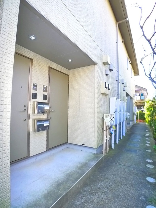 その他 セノーテ