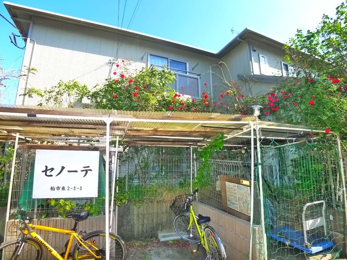 外観写真 セノーテ
