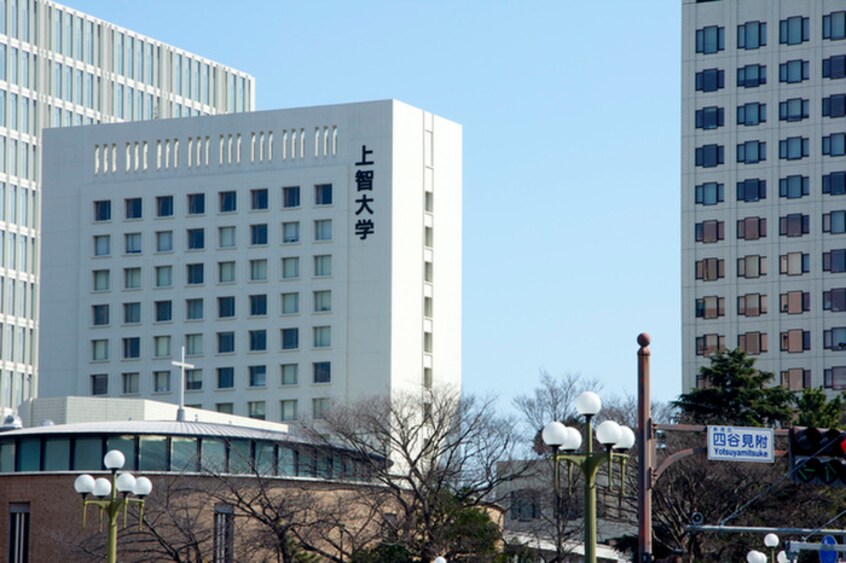 上智大学(大学/短大/専門学校)まで515m WAKABA　View　Apartment