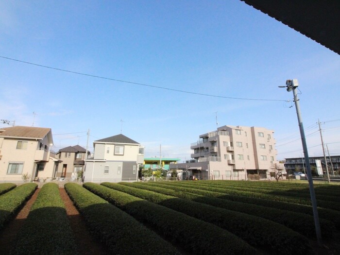 室内からの展望 MOA1