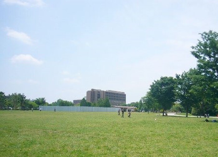 武蔵の森公園(公園)まで1000m 両国荘(1)