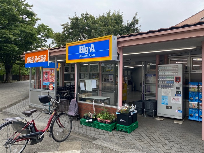 Big-A　多摩聖ヶ丘店(スーパー)まで386m シェイプ・スワ