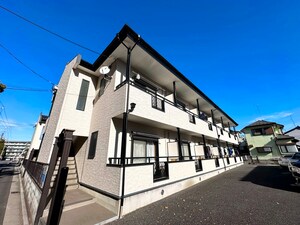 Daisy HeightsⅡ