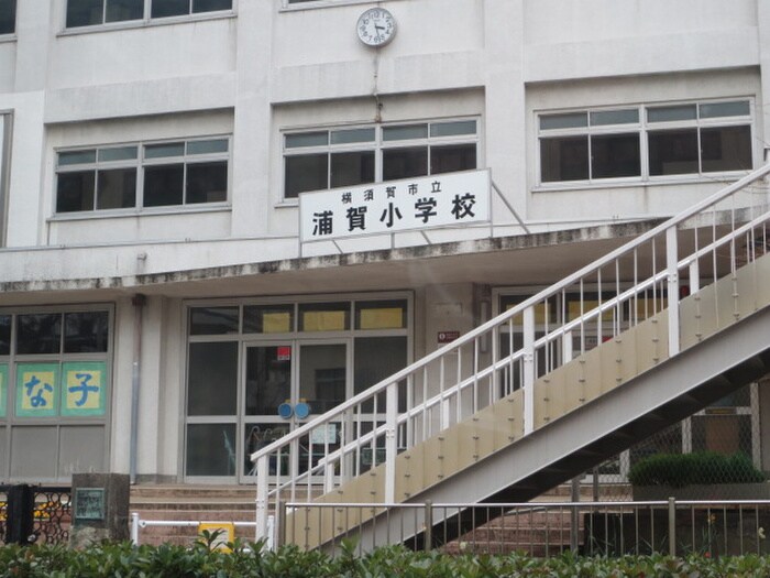 横須賀市浦賀小学校(小学校)まで607m 前田ハイツ