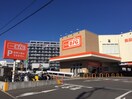 The Big(ザ・ビッグ) 平塚真田店(スーパー)まで1800m フロイデンハイム