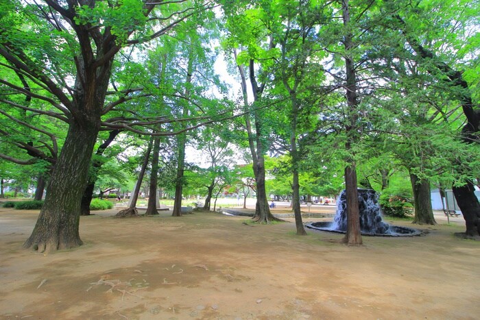 板橋区平和公園(公園)まで750m バロール上板橋