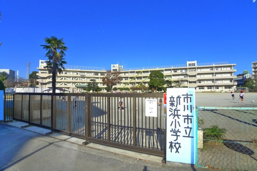 新浜小学校(小学校)まで379m コスモビル