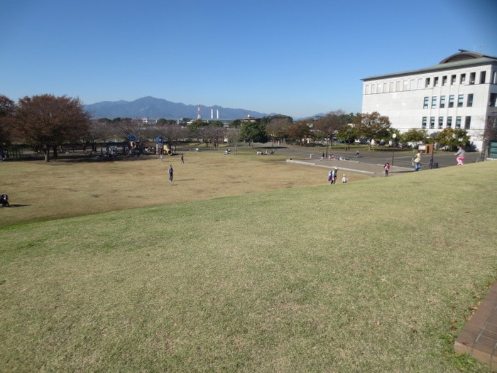 総合公園(公園)まで473m ダイモンハイツ