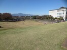 総合公園(公園)まで473m ダイモンハイツ