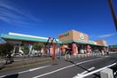 ヨークマート(スーパー)まで500m メゾン・ココ草加
