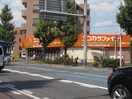 ココカラファイン川崎四谷上町店(ドラッグストア)まで197m グランフォルム南川崎