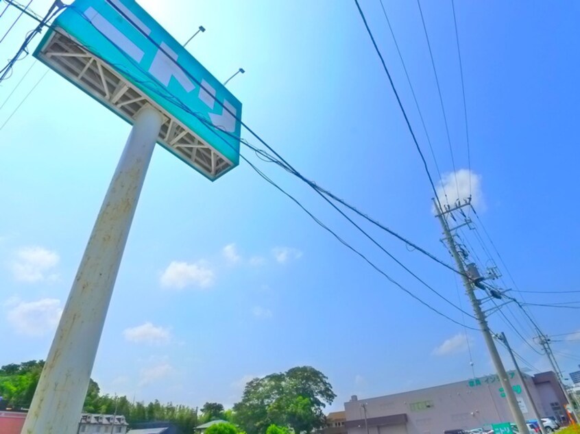 ニトリ(電気量販店/ホームセンター)まで1900m ＲＥＧＡＬＥＳＴ八千代緑が丘