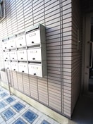 その他 シャンテ東駒形