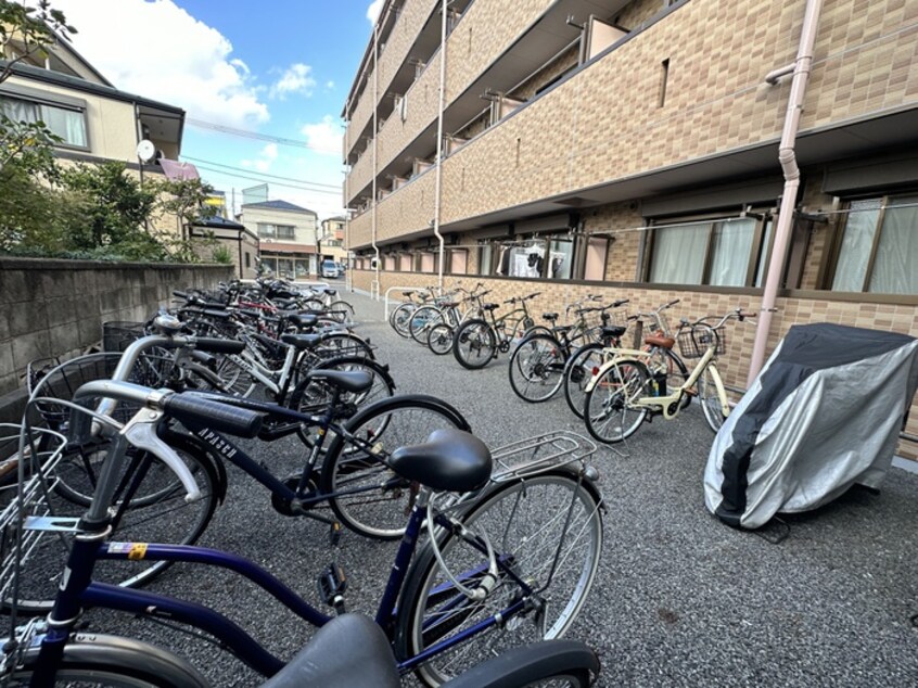 周辺環境 ラクダ