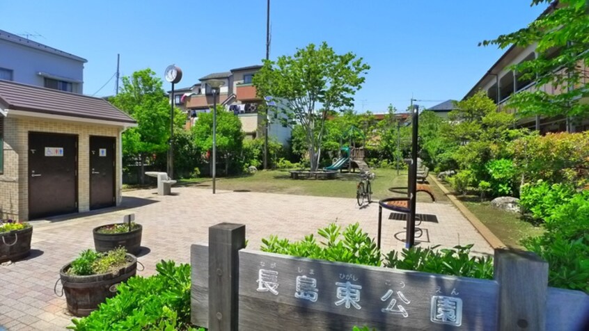 周辺環境 ラクダ