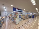 ノジマ(電気量販店/ホームセンター)まで550m グランバリエ小川