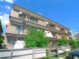 第５センチュリー