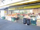 肉のハナマサ　動坂店(スーパー)まで132m ダイホープラザ千駄木（３０２）