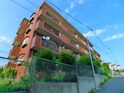 完成写真