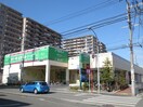 フードワン 綱島店(スーパー)まで480m ラ・カシ－タ大倉山