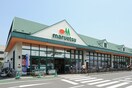 マルエツ溝ノ口店(スーパー)まで421m ザ３・４・４ビル