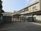 第八中学校(中学校/中等教育学校)まで500m 市川グリ－ンタウンミズホ