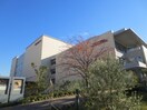昭和音楽大学(大学/短大/専門学校)まで1200m スタ－ダスト新百合