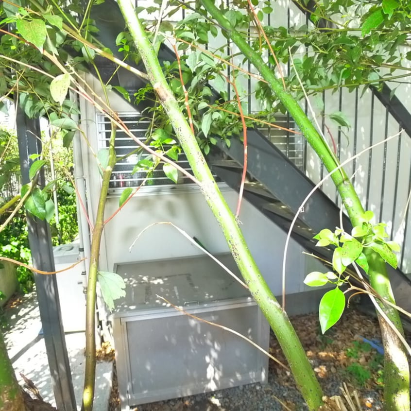 建物設備 グリーンガーデン