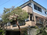 パーシモア