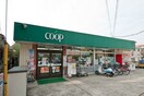 ユーコープ 白山道店(スーパー)まで1900m プチトマト