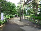 あじさい公園(公園)まで250m サンハイム