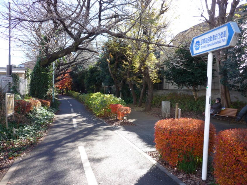 多摩湖自転車歩行者道(公園)まで300m サンハイム