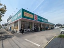 セイムス(スーパー)まで230m コンフォート千間台