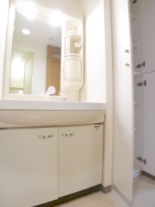 洗面 サニーフォレスト藤原弐番館