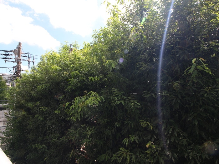 室内からの展望 エザンス