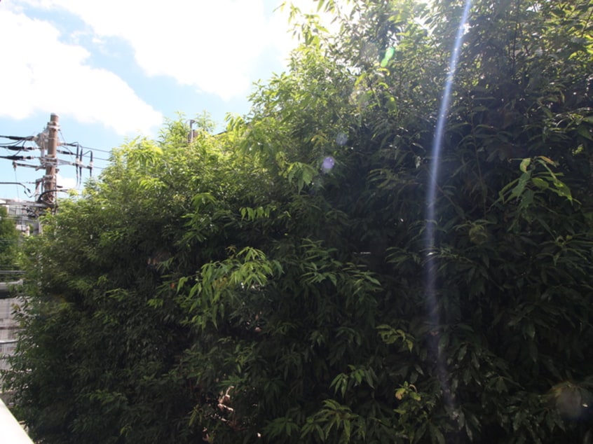 室内からの展望 エザンス