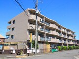 アンソレイエ　アオキ