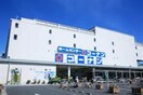 コーナン　中央林間店(電気量販店/ホームセンター)まで226m セドルハイムモリカワＡ棟